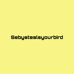 Sebystealsyourbird