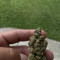 k5dub