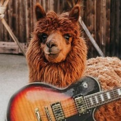 DDangerLLama