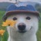 행복하기