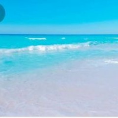 MrOsama Ali Hassanein