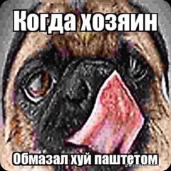 Zigaslav Zigamirov