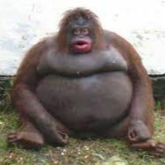 Top Class - Dree Low DANSBAND REMIX