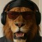DJ LION