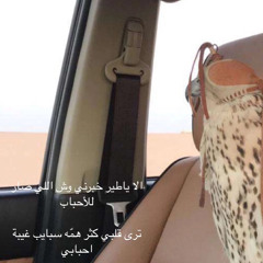 faleh almh