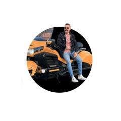 Walid N. Mostafa