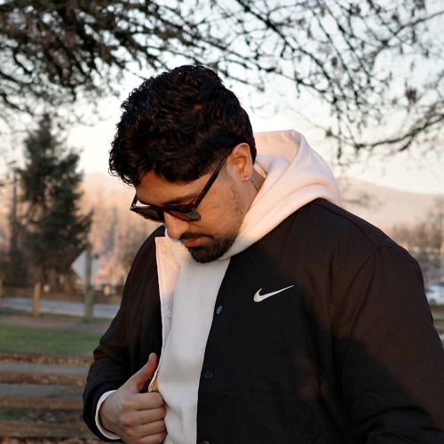 TIGERTRONIK artist photo