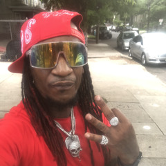 KoolJoe Bone Collecta