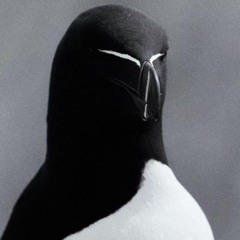 𝕸𝖎𝖙𝖘𝖚