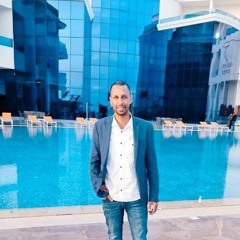 hamed hassa