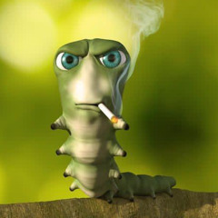 robitzyy