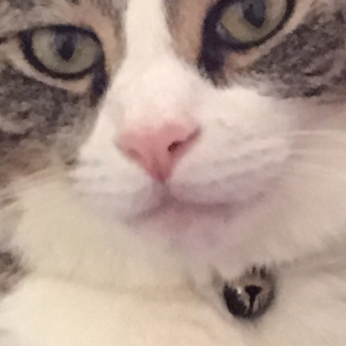 Change the formality spooky ver