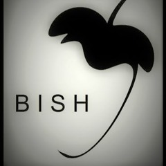 Barry Williams - BISH
