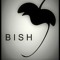 Barry Williams - BISH