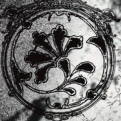 анатолий балансиага