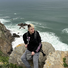 Dusan Ilizi
