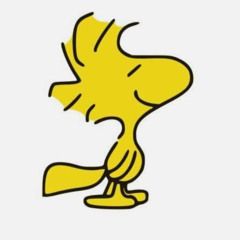 Zeken