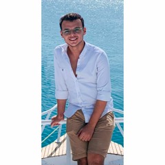 Mahmoud M. Kamel