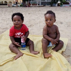 Januário Ribeiro Oficial