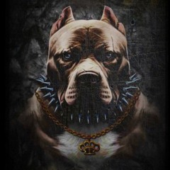 anti judas ❌️〽️❌️