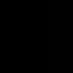 ski