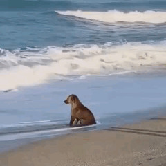 mar mar