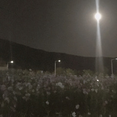 은지 콩콩