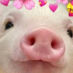 pinkunicornnn