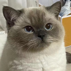 Cathyyyyy