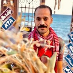 وليد بطارية