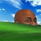 guy