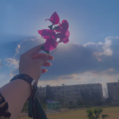 shrouk shaban