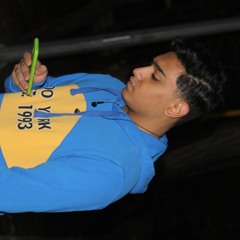 alireza