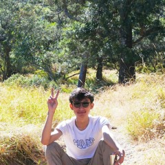 Azmi Dary