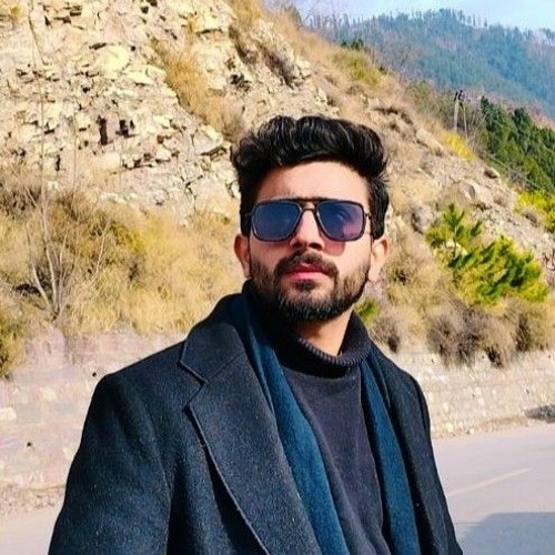 Hamza Hussain’s avatar