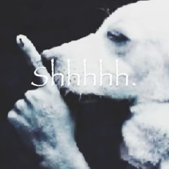 repannn