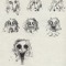 mucus