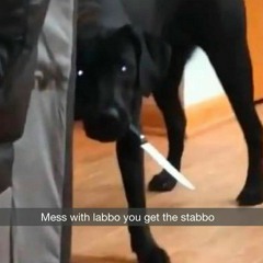 deathtrapboi