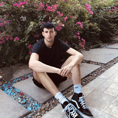 Dylan Langerman