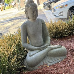 dishcreedin(@dishcreedin)