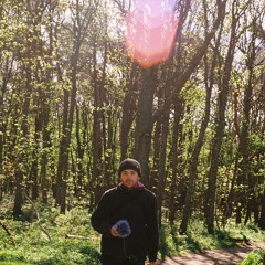 Magnus Kramers
