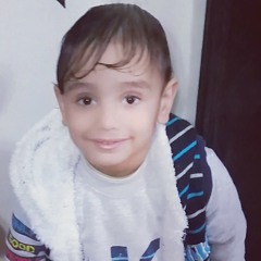 Mostafa Shebl