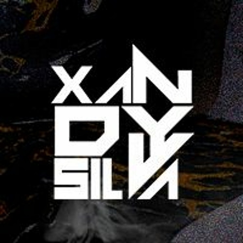 Xandy Silva’s avatar
