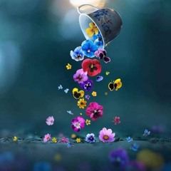 Asmaa Fouda