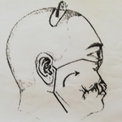 S. Zolog