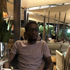 stelviowagner20