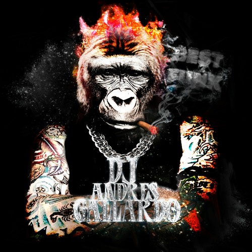 DJ ANDRÉS GALLARDO💎’s avatar