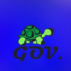Turtle Gov.