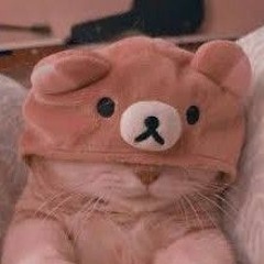 bear cat