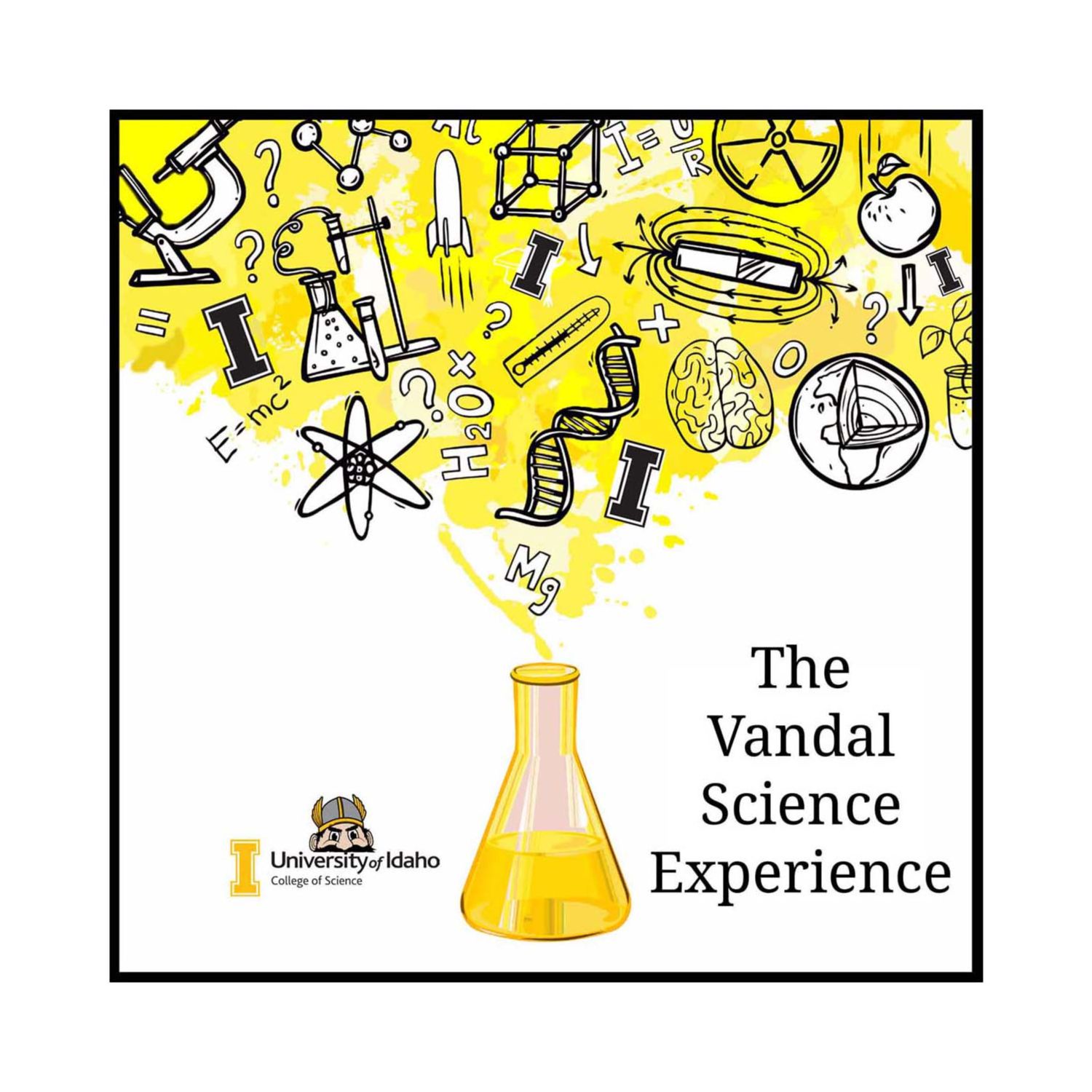 The Vandal Science Experience